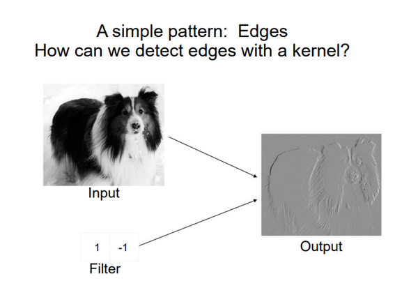 A photo of a dog on the left labelled Input, an arrow pointing to a grayscale edge-map output on the right where only the outlines of the dog's fur and features are visible against a flat gray background, with a small 1,-1 filter shown below the arrow