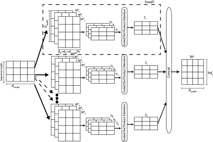 Multi-head attention diagram: the same input is linearly projected by h independent sets of learned WQ, WK, WV matrices into h parallel Scaled Dot-Product Attention blocks producing Z1 through Zh, which are concatenated and passed through one shared output projection WO
